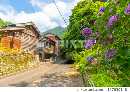 Hanazawa Village [Shizuoka Prefecture] 127639148