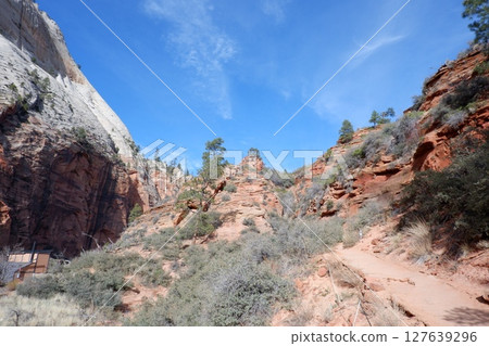 亞利桑那 127639296