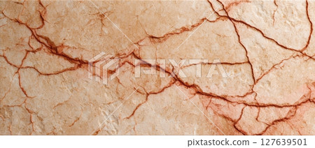 Travertine light marble background with organic patterns and beige natural cracks 127639501