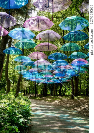 Umbrella Sky at Nagai Park 127639565