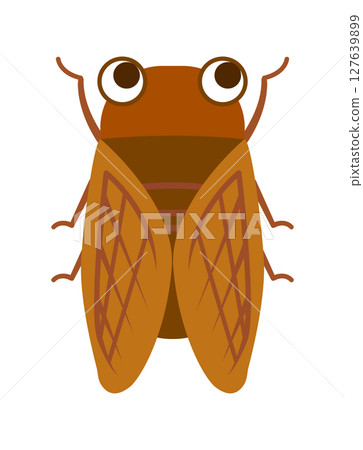 Cute cicada illustration 127639899