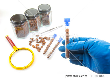 A research scene showcases coffee beans in test tubes, held by a gloved hand 127640009
