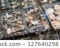 A photo of delicious looking shellfish being sold at the store. 127640298