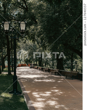 A series of empty park benches sit in the shade of tall trees, providing a cool and peaceful retreat 127640337