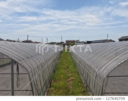 愛知縣西尾市田園風光 127640709