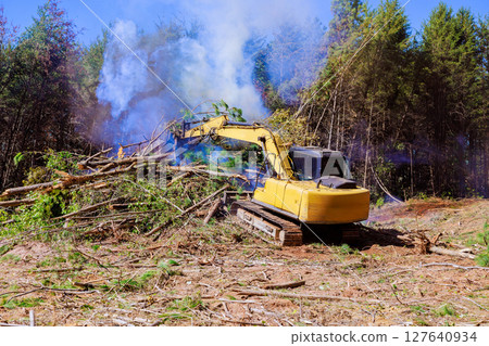 Excavator is removing trees debris from forest as smoke rises in air under works day at construction area Excavator is removing trees debris from forest as smoke rises in air under works day at construction area 127640934