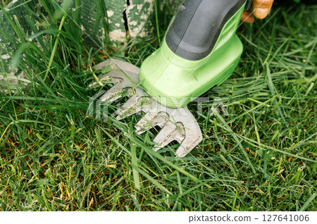Close-up of electric grass shears cutting lawn for precise garden maintenance Close-up of electric grass shears cutting lawn for precise garden maintenance 127641006