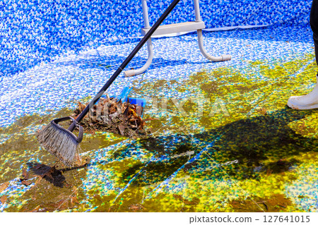 Cleaner worker is clearing leaves debris from backyard swimming pool in preparation for upcoming swimming season. 127641015