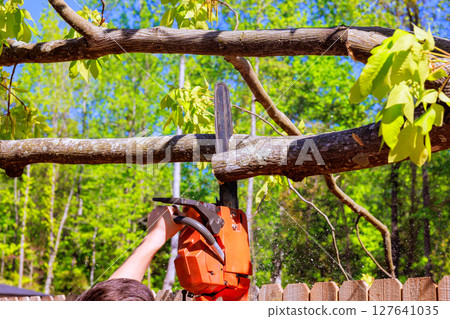 Forestry worker cuts through tree stump with chainsaw, sending sawdust flying in forested setting. 127641035