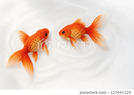 一對繡花金魚-帶有日本風格的可愛圖案 一對繡花金魚-帶有日本風格的可愛圖案 127641129