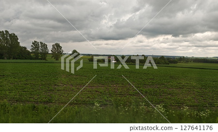 Vast green farmland with scattered trees and a house under dramatic cloudy sky. Concept of rural landscape, agriculture and countryside serenity Vast green farmland with scattered trees and a house under dramatic cloudy sky. Concept of rural landscape, agriculture and countryside serenity 127641176