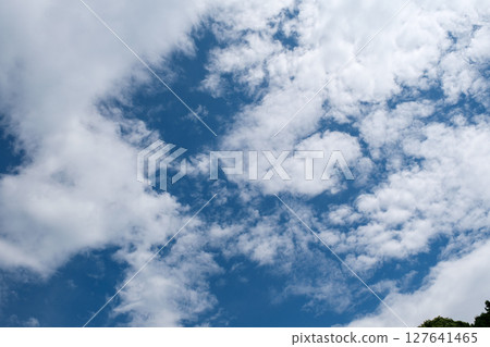 秋天的藍天白雲 秋天的藍天白雲 127641465