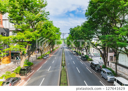 東京新鮮的綠色表參道 127641629