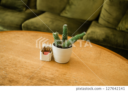 Cactus in white ceramic pot on wooden cafe table. Cozy minimalism and natural decor create a relaxing indoor environment. Cactus in white ceramic pot on wooden cafe table. Cozy minimalism and natural decor create a relaxing indoor environment. 127642141