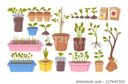 Seeds and seedlings farm, home garden or greenhouse elements set isolated on white background Seeds and seedlings farm, home garden or greenhouse elements set isolated on white background 127642393