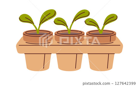 Seedling tray with potted sprouts 127642399