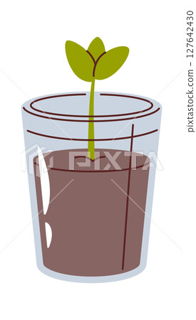 Potted plant in plastic glass Potted plant in plastic glass 127642430