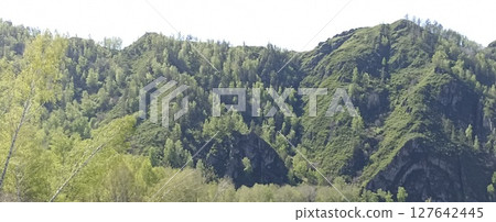 Lush Green Hillside with Spring Foliage and Rock Formations, Natural Beauty in Altay, Russia Lush Green Hillside with Spring Foliage and Rock Formations, Natural Beauty in Altay, Russia 127642445