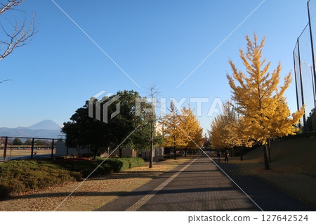 櫛形公園的紅葉和富士山（南阿爾卑斯市） 127642524