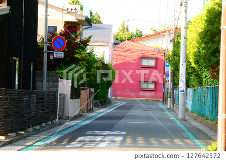 Cityscape: Rose-colored building at the end of the road Cityscape: Rose-colored building at the end of the road 127642572