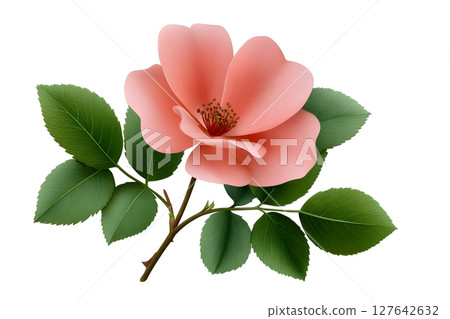 A realistic illustration of a pink rose with lush green leaves on a white background. Ideal for floral designs, botanical art, and romantic projects. A realistic illustration of a pink rose with lush green leaves on a white background. Ideal for floral designs, botanical art, and romantic projects. 127642632