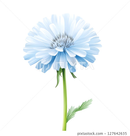 A detailed illustration of a delicate blue flower with lush green stem and leaves on a white background. Perfect for botanical art, nature-inspired designs, and floral branding. 127642635