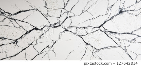 High-resolution top-down image of Statuario marble slab showing intricate vein cluster across polished white surface 127642814