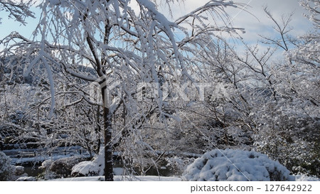 京都東山雪景 1 127642922