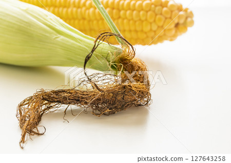 玉米鬍子 127643258