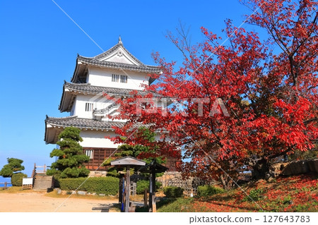 【香川縣】紅葉紅葉的秋天丸龜城（現存的天守閣和石牆） 127643783