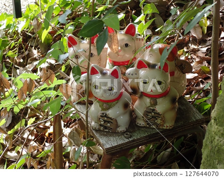 Four Maneki-Neko (Lucky Cats) Four Maneki-Neko (Lucky Cats) 127644070