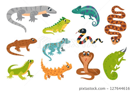 Cartoon amphibians reptiles. Exotic jungle animals, iguana snake lizards. Salamander and cobra, isolated venomous reptile, classy vector set 127644616