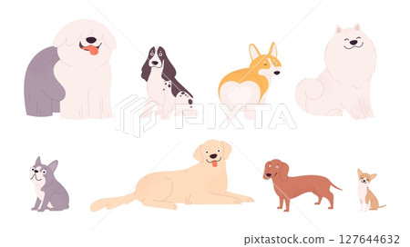 Cartoon dog characters. Different dogs, various breed. Isolated funny pets, french bulldog, corgi, retriever, dachshund. Adorable puppy vector clipart 127644632
