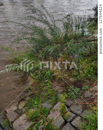 River flooding over stone embankment with plants during rain River flooding over stone embankment with plants during rain 127644824