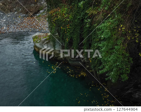 Lush green foliage drapes over a rocky riverbank, with clear turquoise water and fallen autumn leaves in aosta, italy during november pontboset Lush green foliage drapes over a rocky riverbank, with clear turquoise water and fallen autumn leaves in aosta, italy during november pontboset 127644904