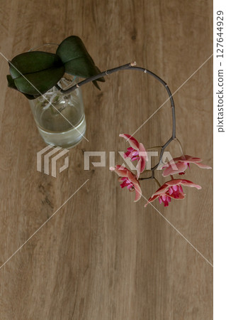 Pink orchid blossoming in glass vase on wooden table copy space 127644929