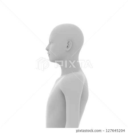 人體頭部、臉部、上身 127645204