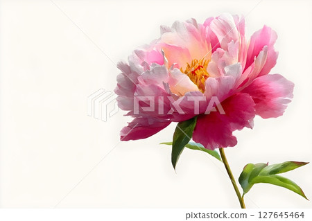 Beautiful close-up illustration of a pink peony with green leaves on a soft white background. Ideal for floral designs, invitations, or decor. Beautiful close-up illustration of a pink peony with green leaves on a soft white background. Ideal for floral designs, invitations, or decor. 127645464