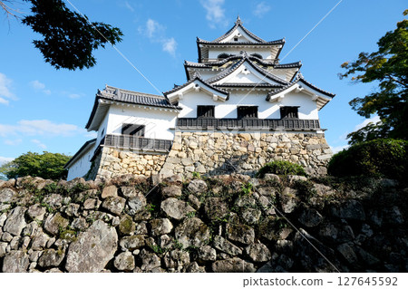 Hikone City, Shiga Prefecture_Hikone Castle from the north 2_September 2024 127645592