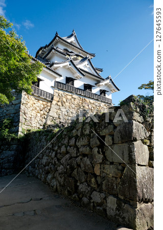 Hikone City, Shiga Prefecture_Hikone Castle from the north 3_September 2024 Hikone City, Shiga Prefecture_Hikone Castle from the north 3_September 2024 127645593