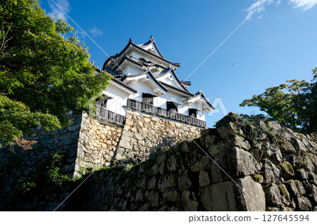 滋賀縣彥根市_從北面俯瞰彥根城_2024年9月4日 127645594