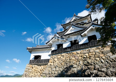 滋賀縣彥根市_彥根城 1_2024年9月 127645604