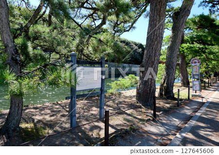 Shiga Prefecture Hikone City_Hikone Castle Irohamatsu 1_September 2024 127645606