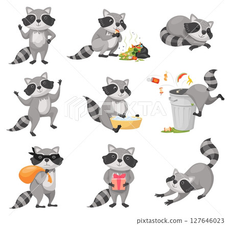 Cartoon raccoon. Racoon cute character funny animal mascot pose, baby racoons happy face racoon burglar zoo wild nature life coon in trash can, animals set neat vector illustration Cartoon raccoon. Racoon cute character funny animal mascot pose, baby racoons happy face racoon burglar zoo wild nature life coon in trash can, animals set neat vector illustration 127646023