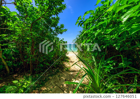 穿過石垣島的綠色隧道後，平久保海灘的壯麗景色映入眼簾 127646051