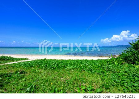 石垣島阿羅阿洛海灘的藍色大海和碧綠草地，景色壯麗 127646235