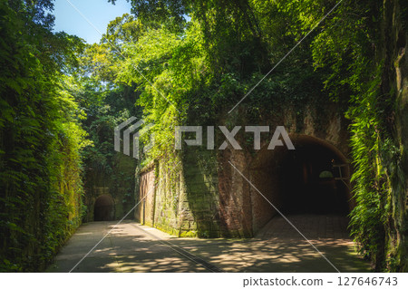 Kanagawa Prefecture, Yokosuka City, Sarushima Island 127646743