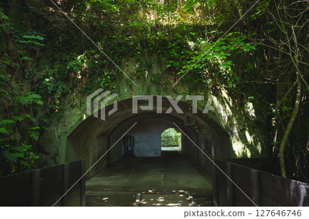 Kanagawa Prefecture, Yokosuka City, Sarushima Island 127646746