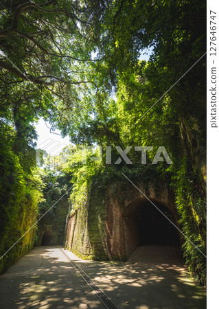 神奈川縣橫須賀市猿島 神奈川縣橫須賀市猿島 127646747