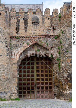 Side entrance door to Svetitskhoveli Cathedral. Mtskheta, travel 127647039